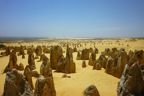 Pinnacles Desert Private Tour - New Castle Holiday 5