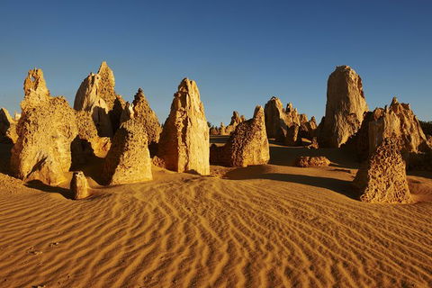 Pinnacles Desert Private Tour - New Castle Holiday 0
