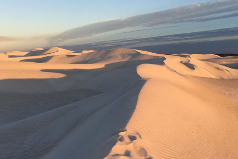 Pinnacles Desert Private Tour - New Castle Holiday 2