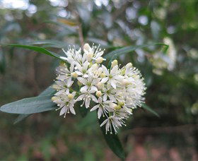 Boolijah NSW New Castle Holiday
