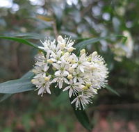 Booderee National Park - New Castle Holiday
