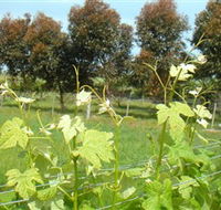 Barwon Ridge Wines - New Castle Holiday