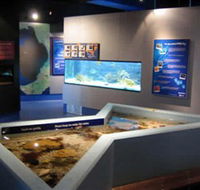 Marine and Freshwater Discovery Centre - New Castle Holiday