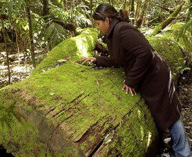 Attunga NSW New Castle Holiday