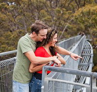 Valley of the Giants Tree Top Walk - New Castle Holiday