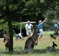 Glen Innes Golf Club - New Castle Holiday