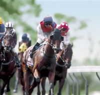 Colac Turf Club - New Castle Holiday