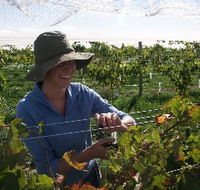 Kingsdale Wines - New Castle Holiday