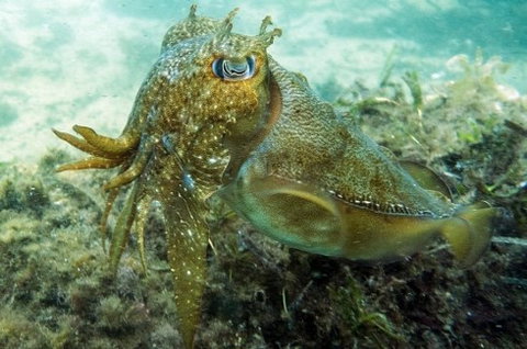 Busselton Jetty & Underwater Observatory Tour - New Castle Holiday 4