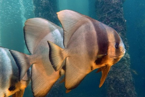 Busselton Jetty & Underwater Observatory Tour - New Castle Holiday 5