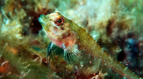 Busselton Jetty & Underwater Observatory Tour - New Castle Holiday 7