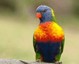 Booderee National Park - New Castle Holiday 1