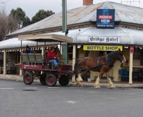 Bathurst Farm Experience - New Castle Holiday 0
