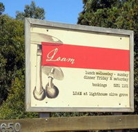 Lighthouse Olive Oil  - New Castle Holiday