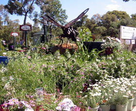 Zanthorrea Nursery - New Castle Holiday 0