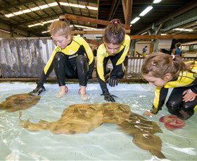 Dandenong South VIC New Castle Holiday