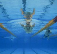 Kensington Community Recreation Centre - New Castle Holiday