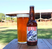 Feral Brewing Company - New Castle Holiday