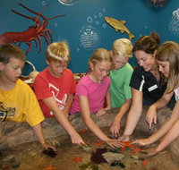 Naturaliste Marine Discovery Centre - New Castle Holiday
