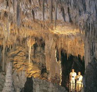 Mammoth Cave - New Castle Holiday