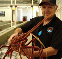 Lobster Shack - New Castle Holiday