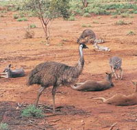 Hammond Park - New Castle Holiday