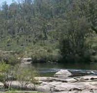 Wellington Discovery Forest - New Castle Holiday