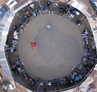 Two-Up School - New Castle Holiday