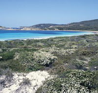 Mississippi Hill and Rossiter Bay - New Castle Holiday