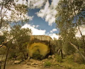 Hippo's Yawn - New Castle Holiday 0