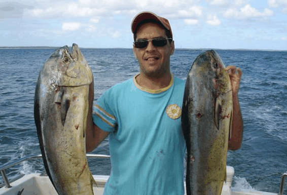 Jervis Bay Fishing and Charters - New Castle Holiday