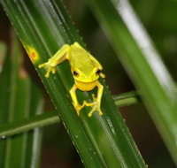 Daintree River Cruise Centre - New Castle Holiday