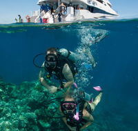 Down Under Cruise and Dive - New Castle Holiday