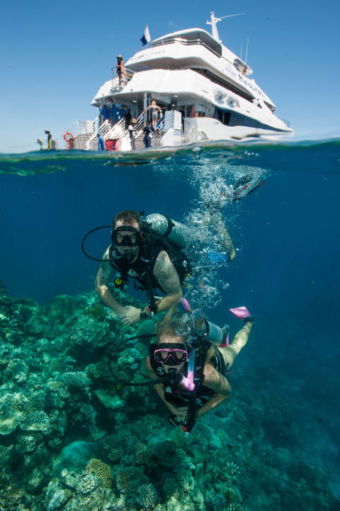 Down Under Cruise And Dive - New Castle Holiday 0