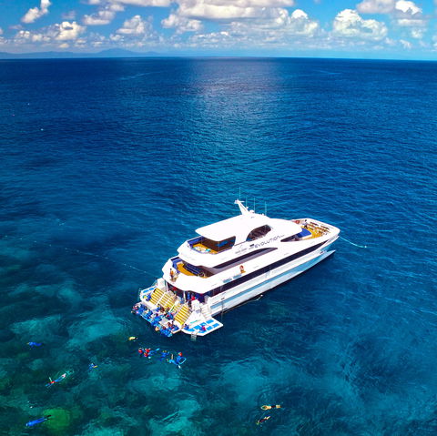 Down Under Cruise And Dive - New Castle Holiday 1