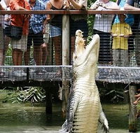 Hartley's Crocodile Adventures - New Castle Holiday