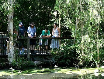Hartley's Crocodile Adventures - New Castle Holiday 2
