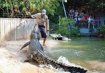 Hartley's Crocodile Adventures - New Castle Holiday 4