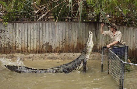 Hartley's Crocodile Adventures - New Castle Holiday 8