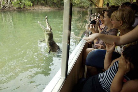 Hartley's Crocodile Adventures - New Castle Holiday 9