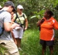 Ingan Tours - Spirit of the Rainforest Tour - New Castle Holiday