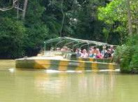 Rainforestation Nature Park - New Castle Holiday 4