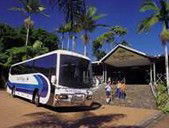 Rainforestation Nature Park - New Castle Holiday 5