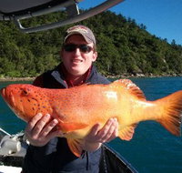 Gone Fishing by Coral Sea Fishing Charters Airlie Beach - New Castle Holiday
