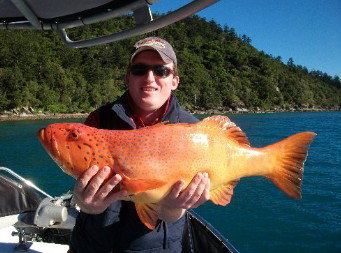 Gone Fishing By Coral Sea Fishing Charters Airlie Beach - New Castle Holiday 0