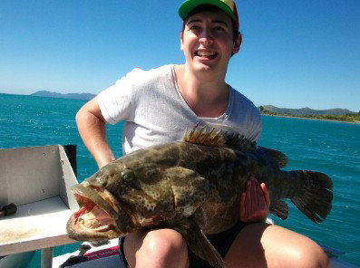 Gone Fishing By Coral Sea Fishing Charters Airlie Beach - New Castle Holiday 4