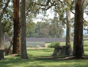 Amosfield QLD New Castle Holiday