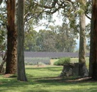 Aloomba Lavender - New Castle Holiday