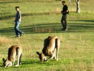 Southern Queensland Country QLD New Castle Holiday