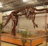 Australia's Dinosaur Trail - New Castle Holiday